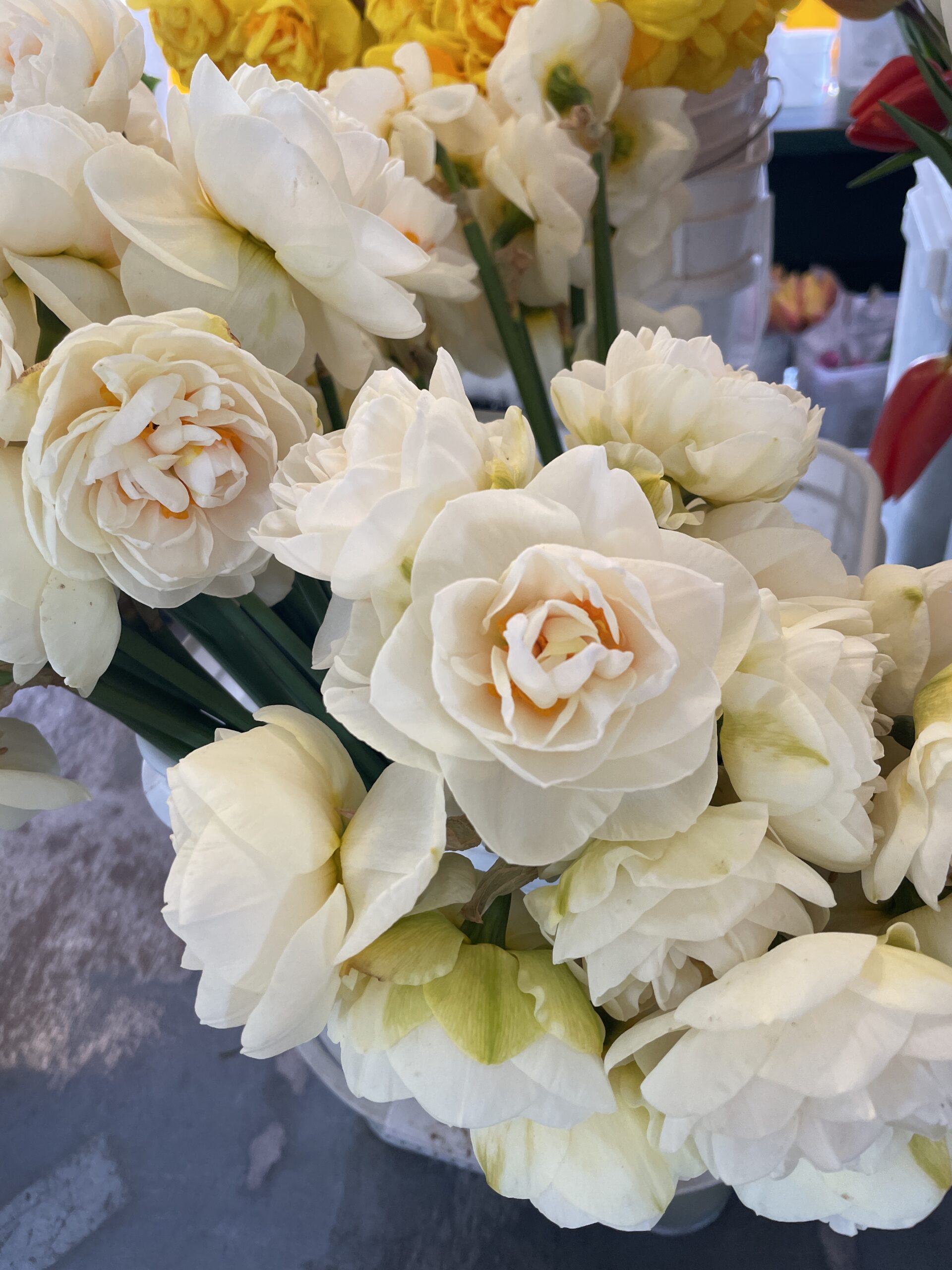 White Rose Bridal Bouquet — Pike Place Flowers